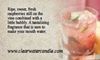 Country Collection - Raspberry Sparkle - 8oz Soy Jelly Jar