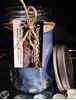 Country Collection - Blueberry Cheesecake - 16oz Soy Canning Jar