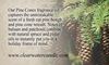 Country Collection - Pine Cones - 16oz Soy Canning Jar