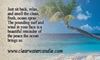 Country Collection - Ocean Breeze - 2.75oz Soy Wax Melts